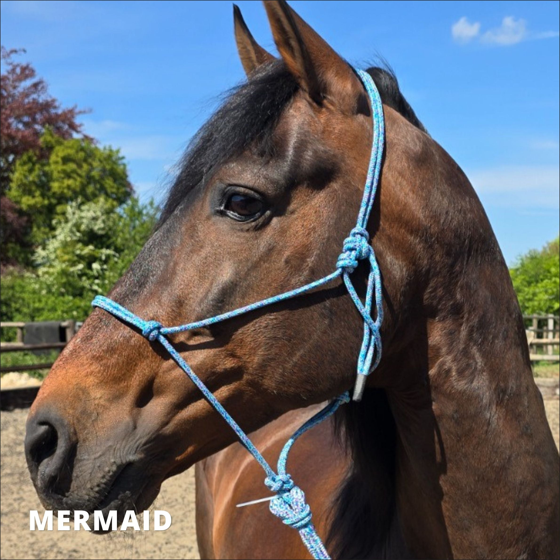 Training Rope Halter