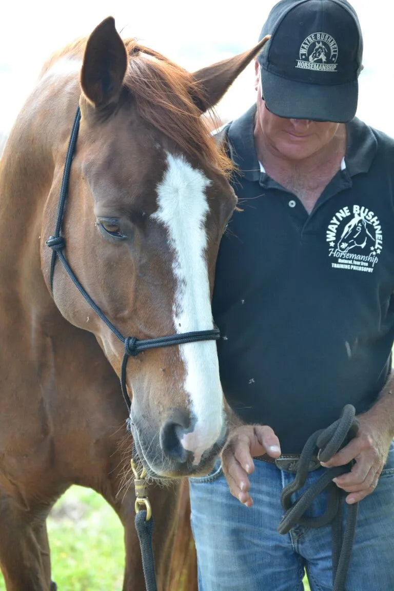 Training Rope Halter