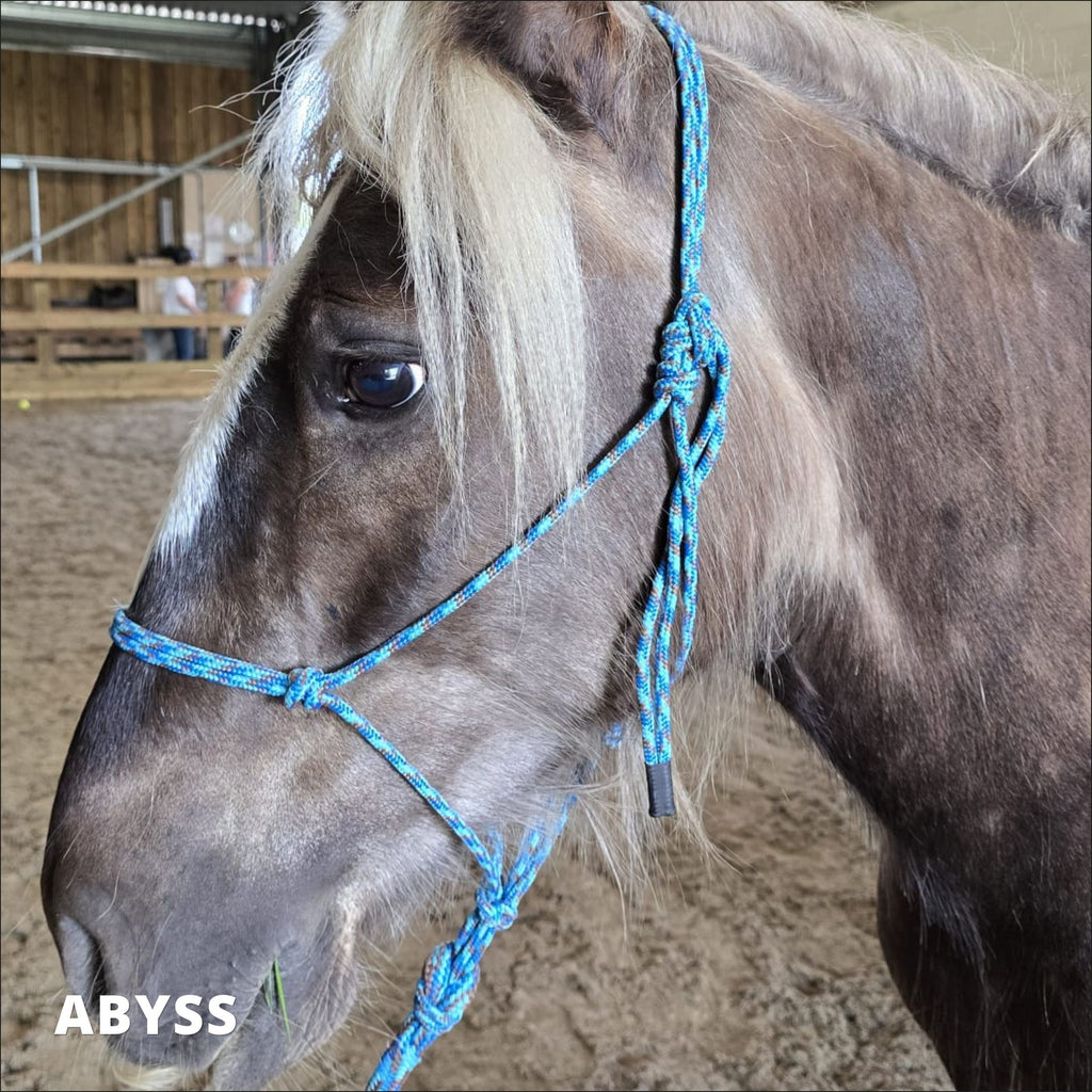 Training Rope Halter