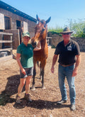 Equine Mind, Body and Soul Clinic
