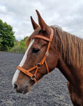 Leather Bitless Bridle